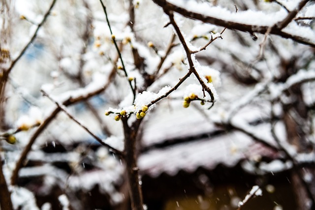 称本轮亮点